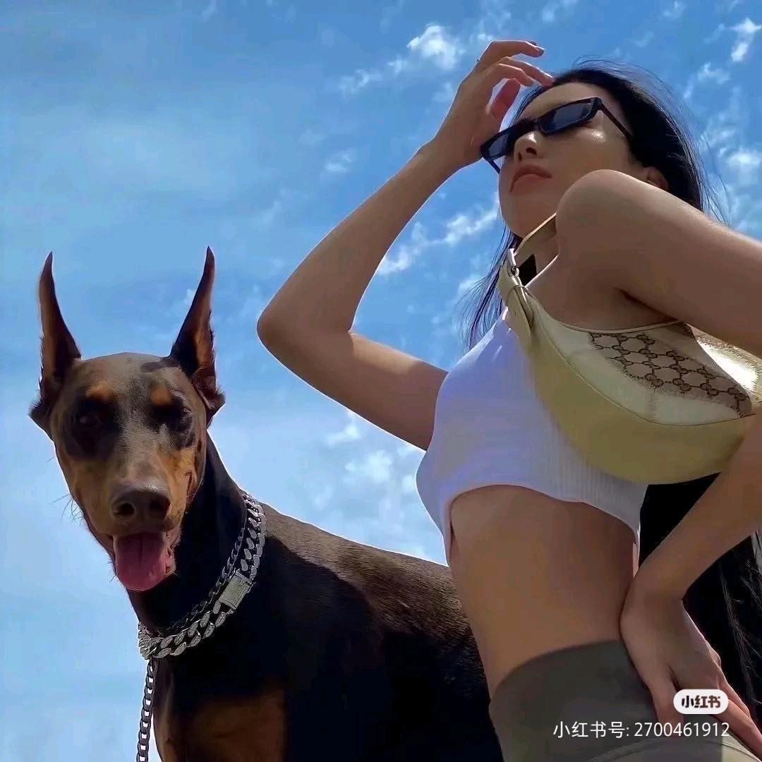 白细胞