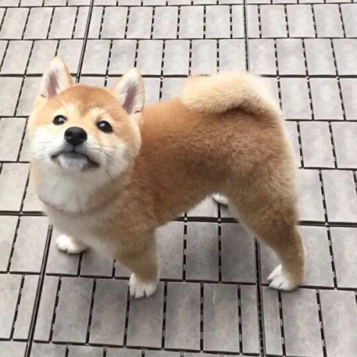 🌈小陈、