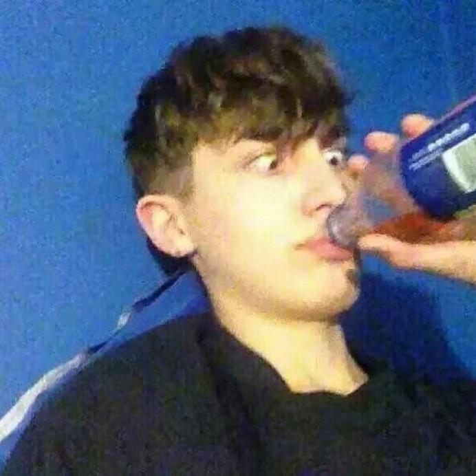 杨杨,