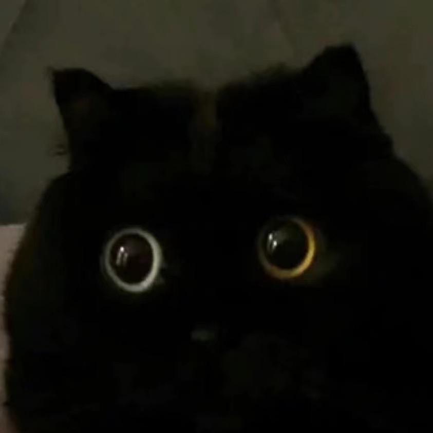 小黑球lolm