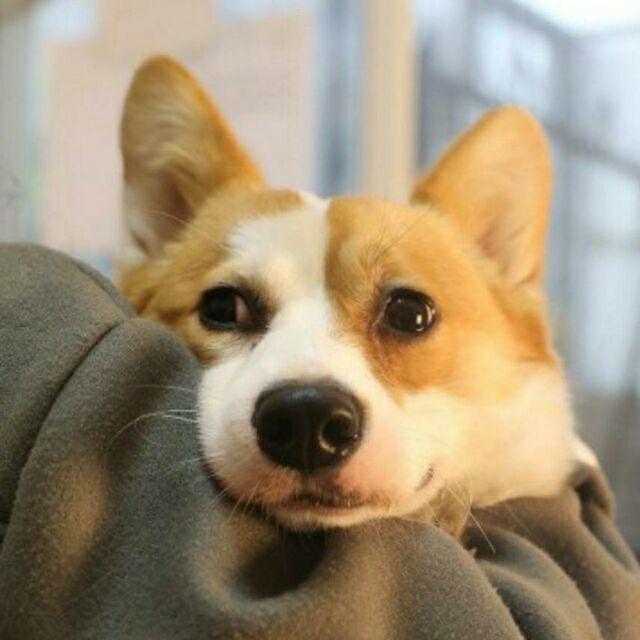 开心商行