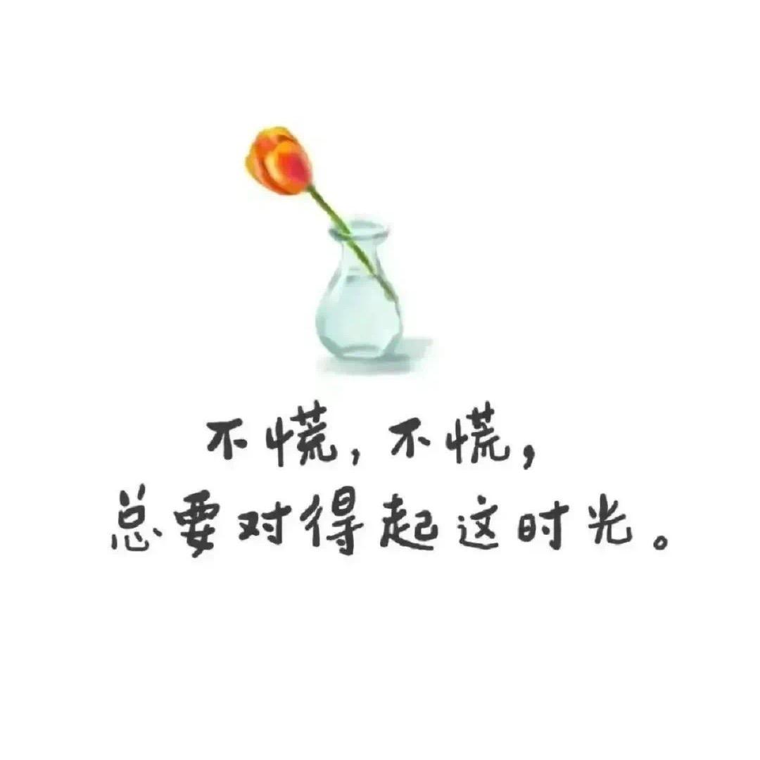 阳光清浅🏜️