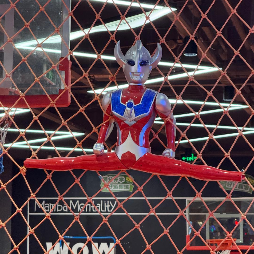 大橙子🐰