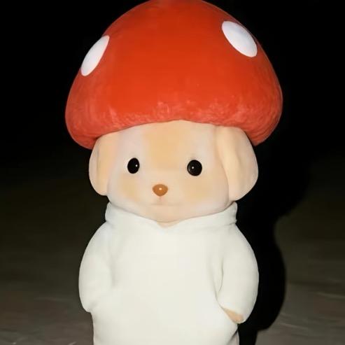 呆呆呀