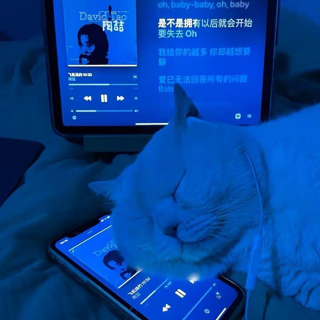 七点睡