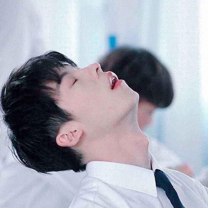 狐狸狐兔❤️追剧颜究中心