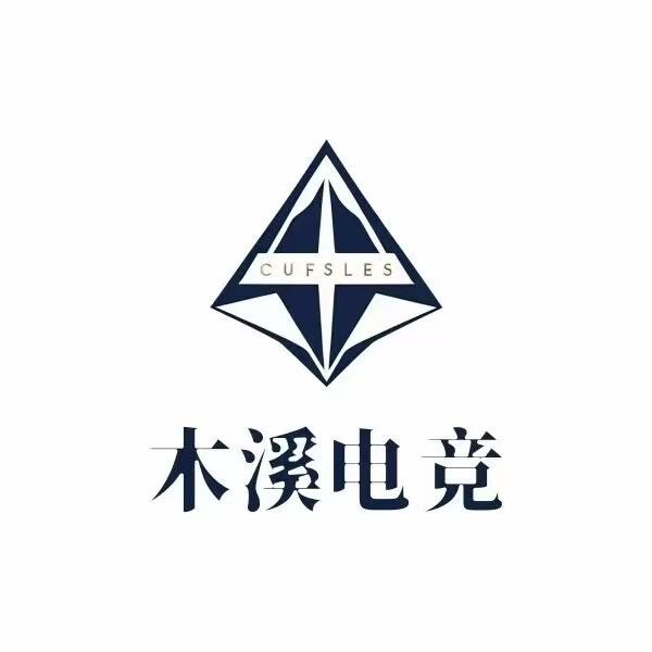 木溪电竞001