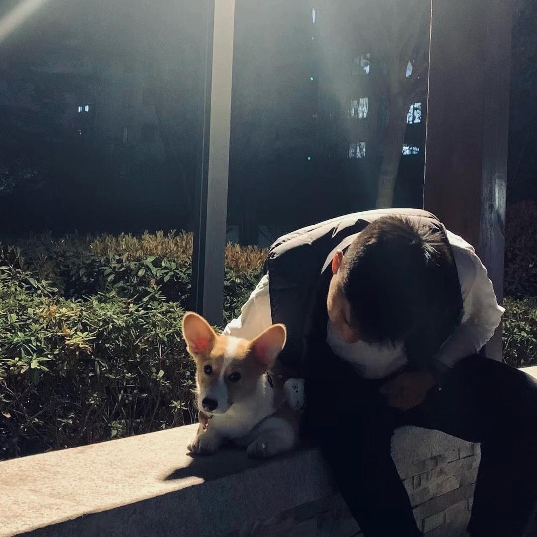 Ayu @（三角洲行动）