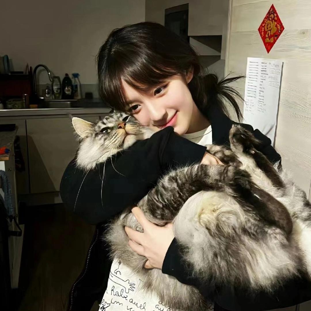 米西米西花不拉几