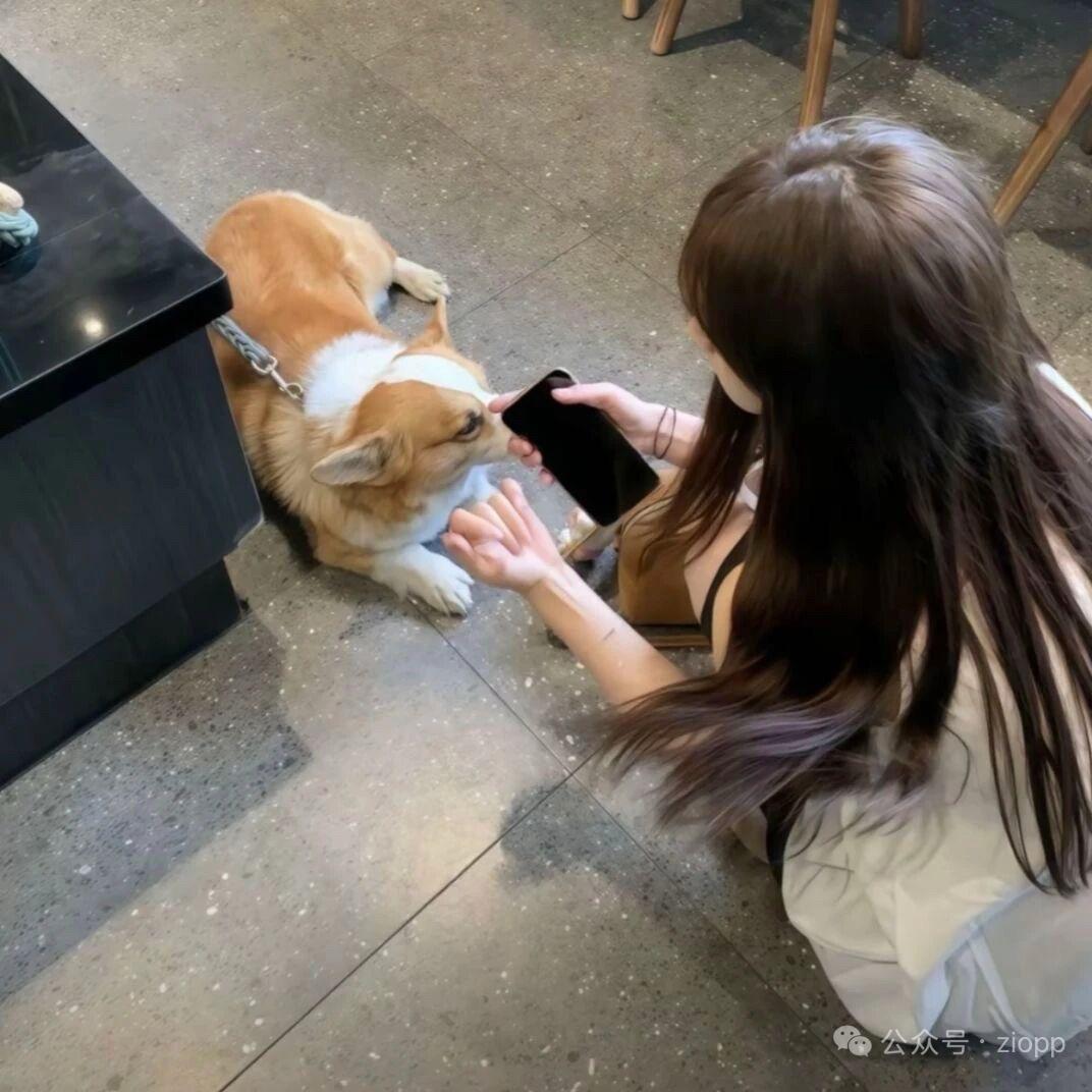 吧吧啦啦