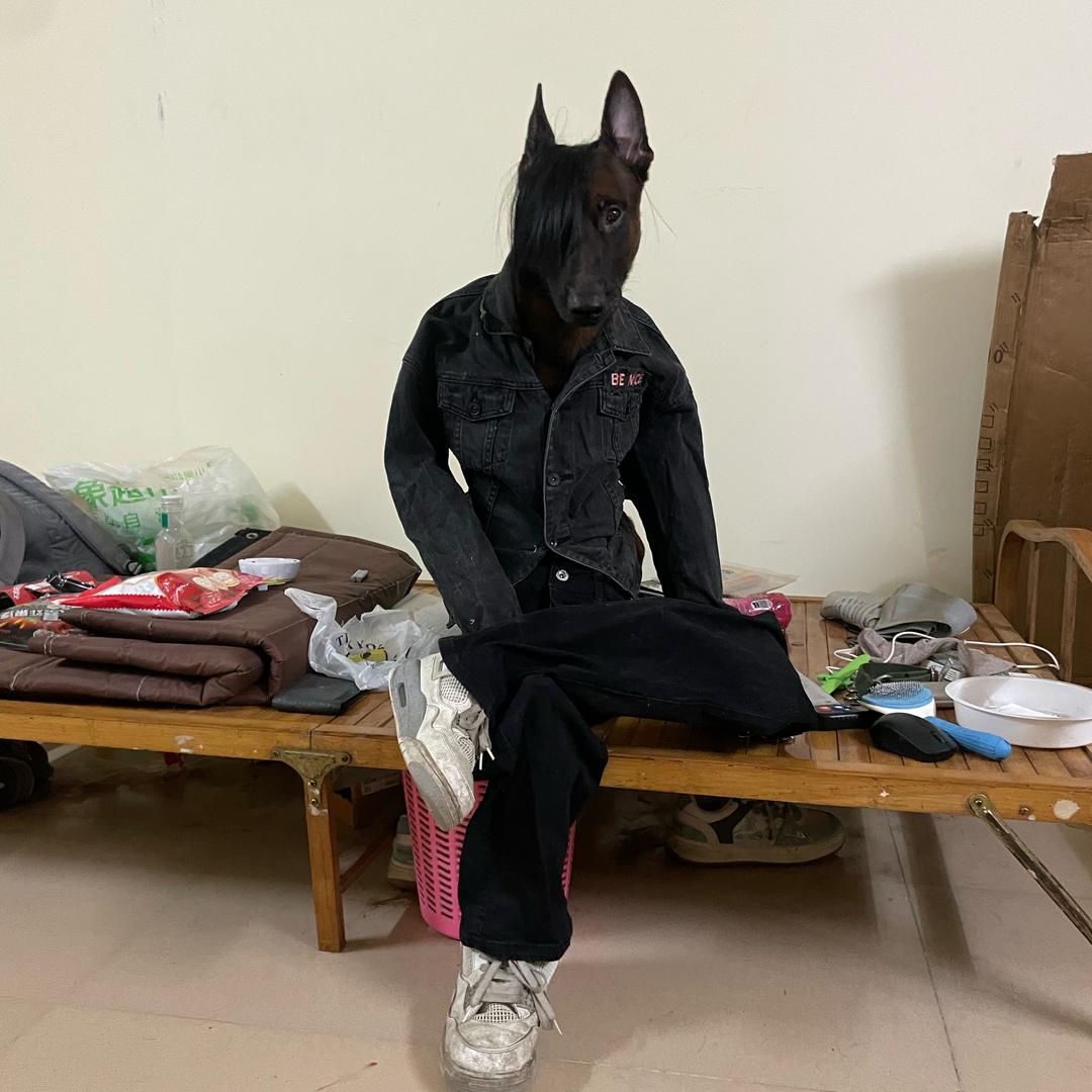 路灯是只狗