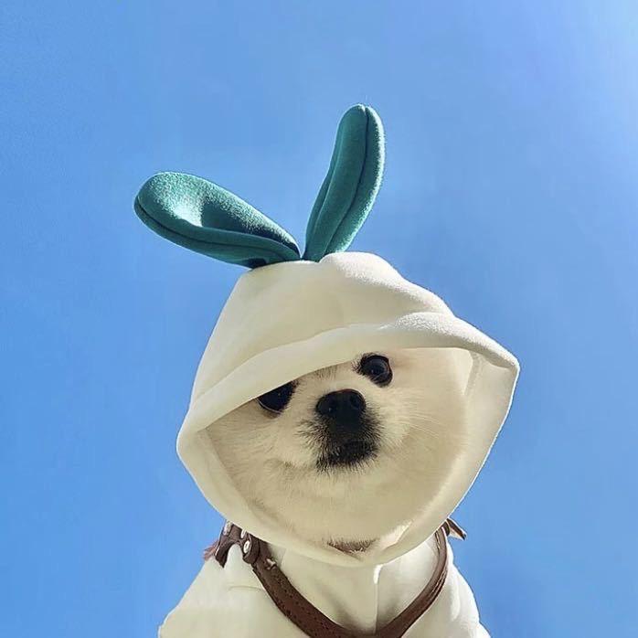 3344