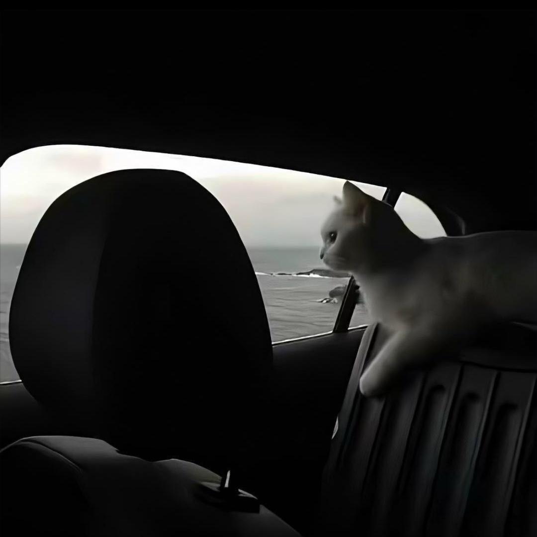 出了名的爱女人