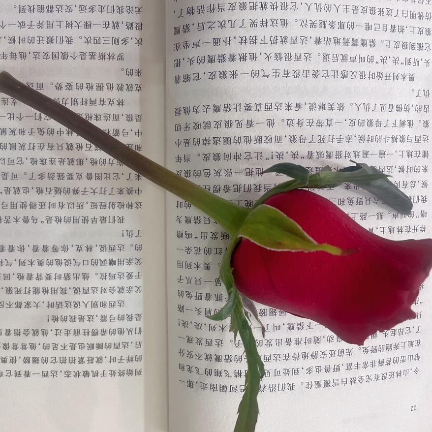 我的加菲哈猪咪^^