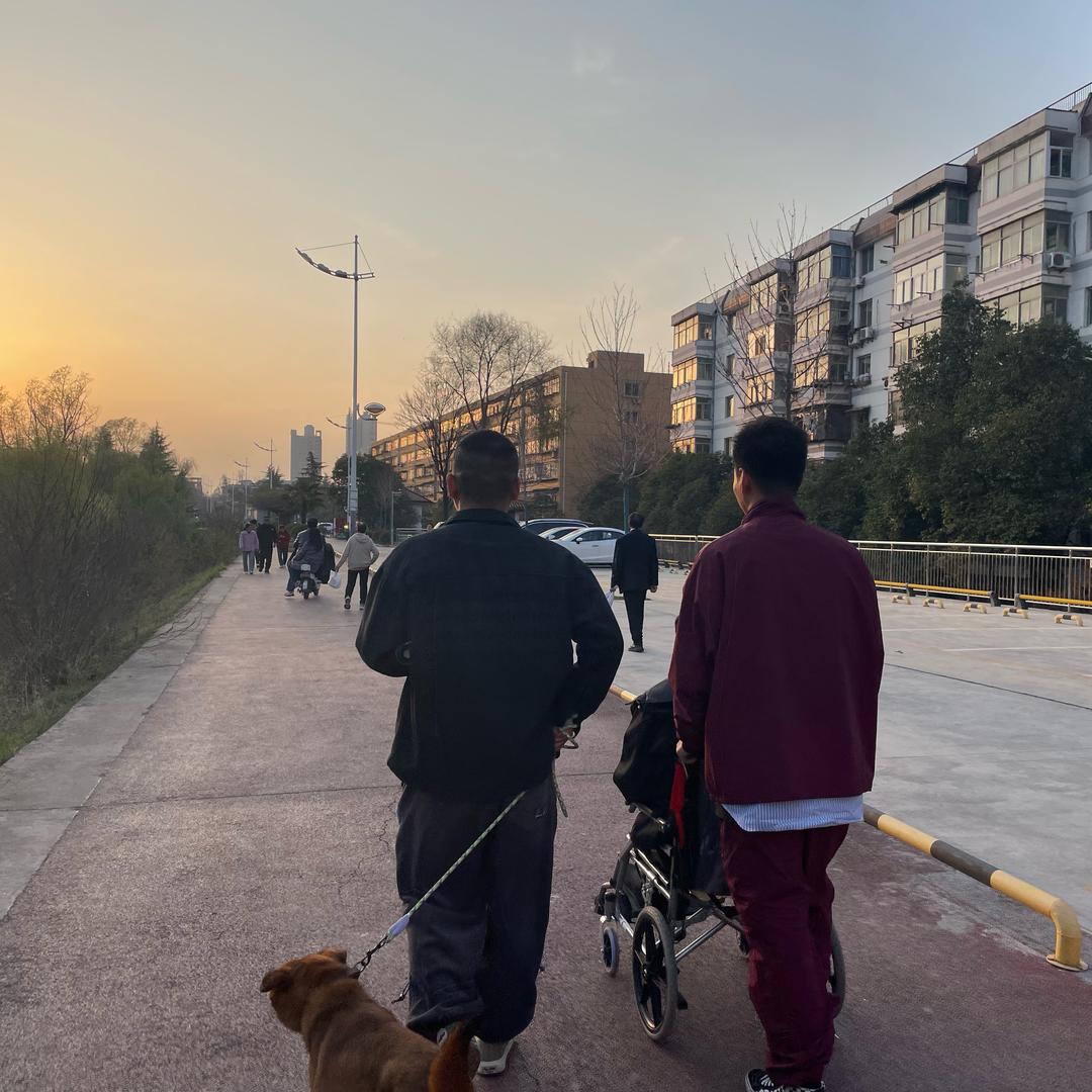 罗飞的鸦