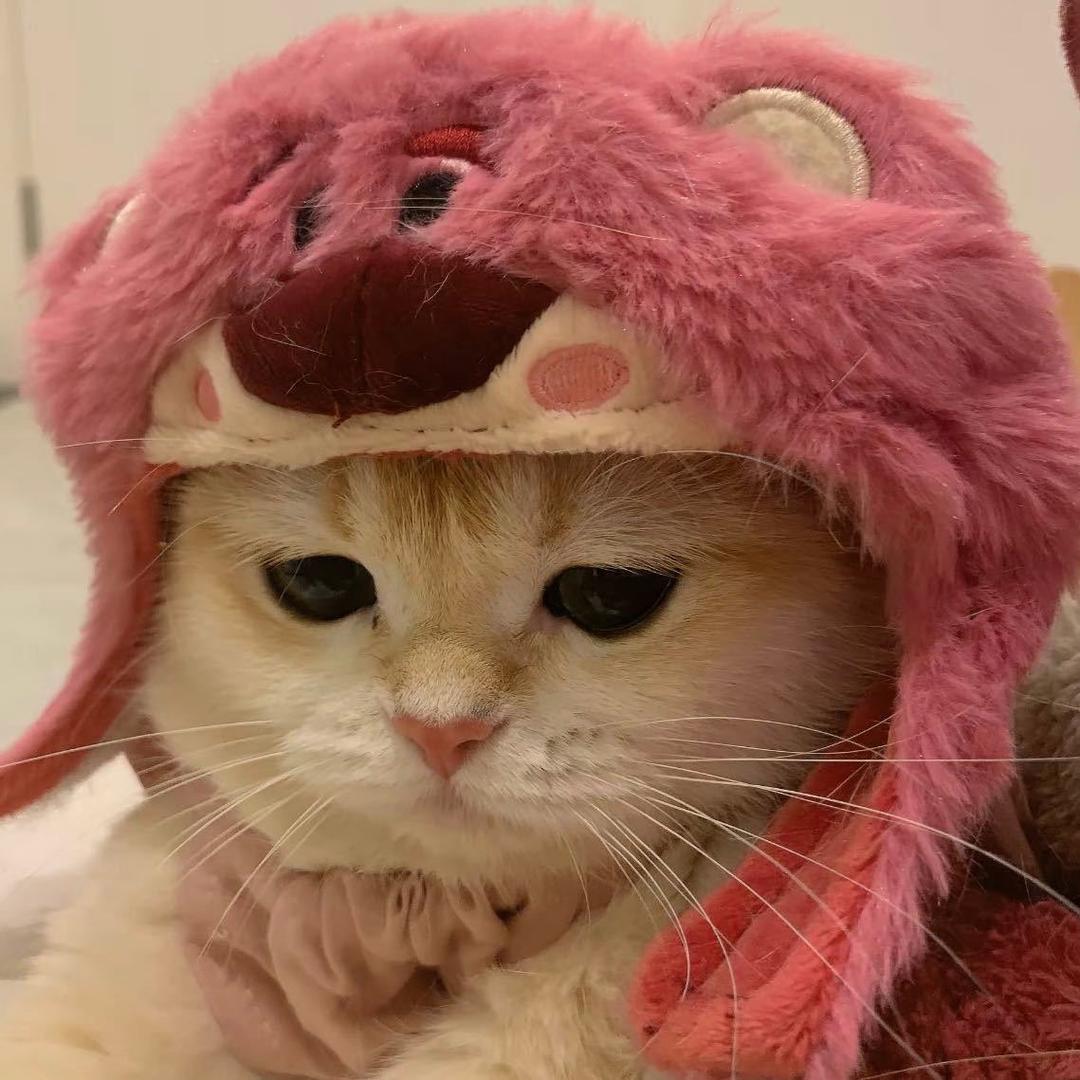 治愈冰美式