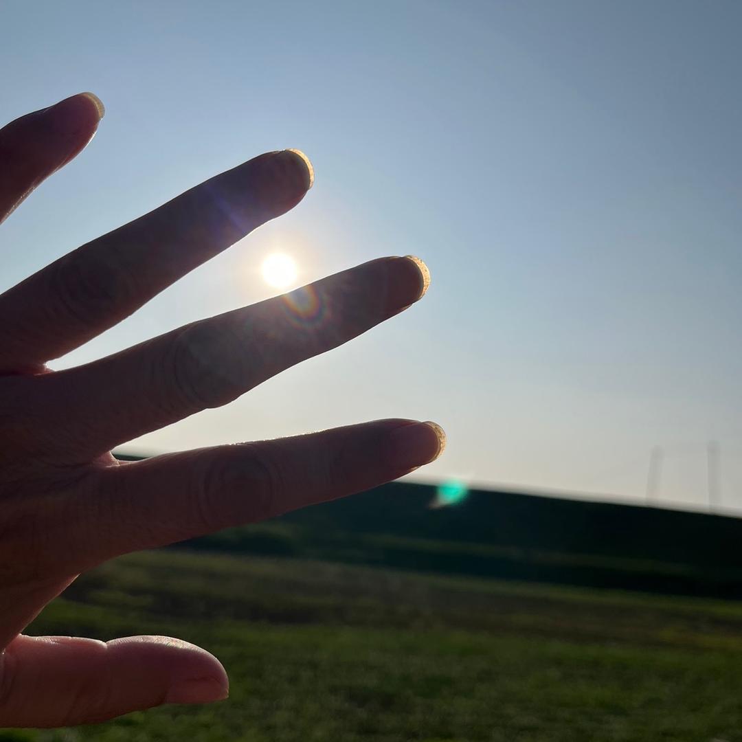 晒太阳🌞