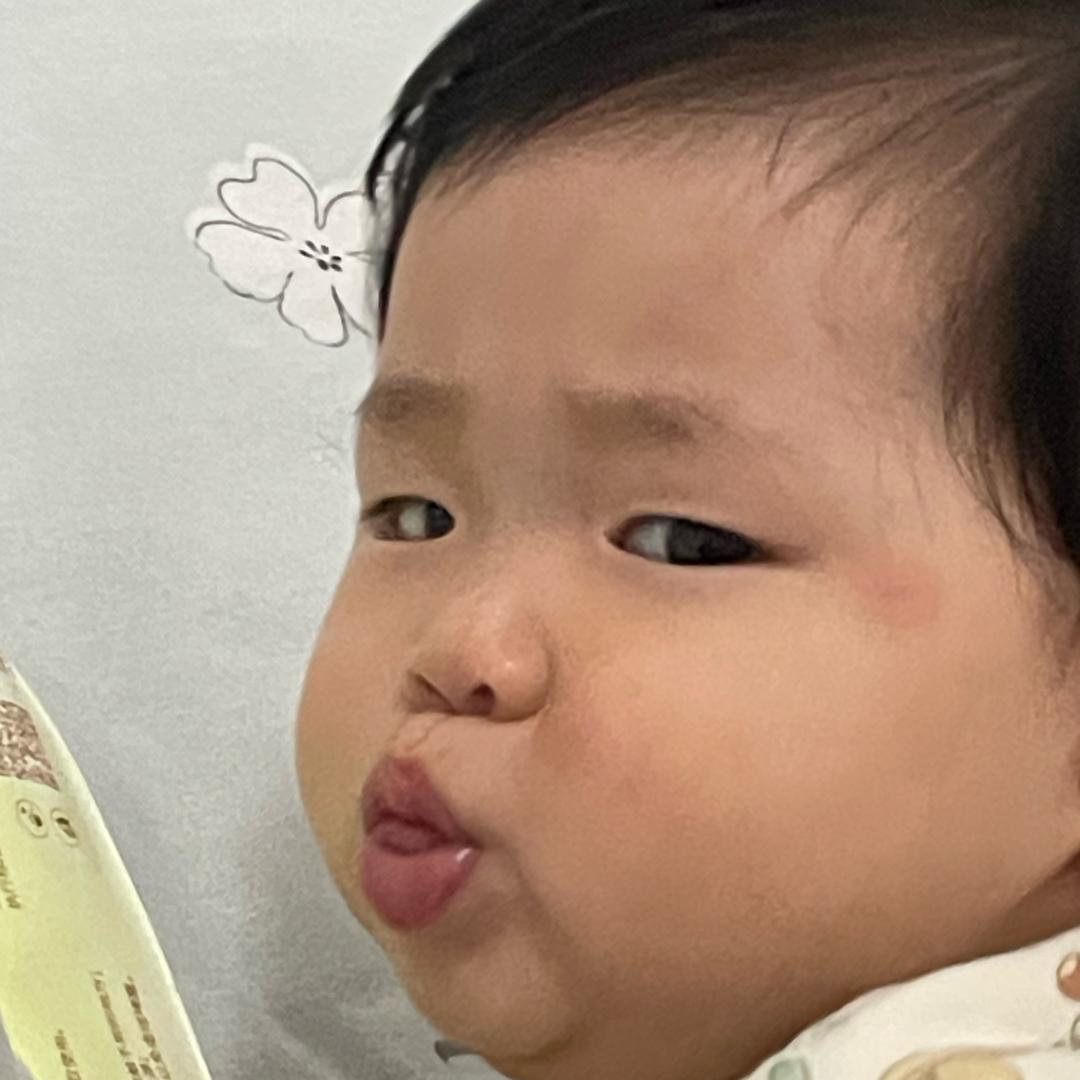 绵羊呀