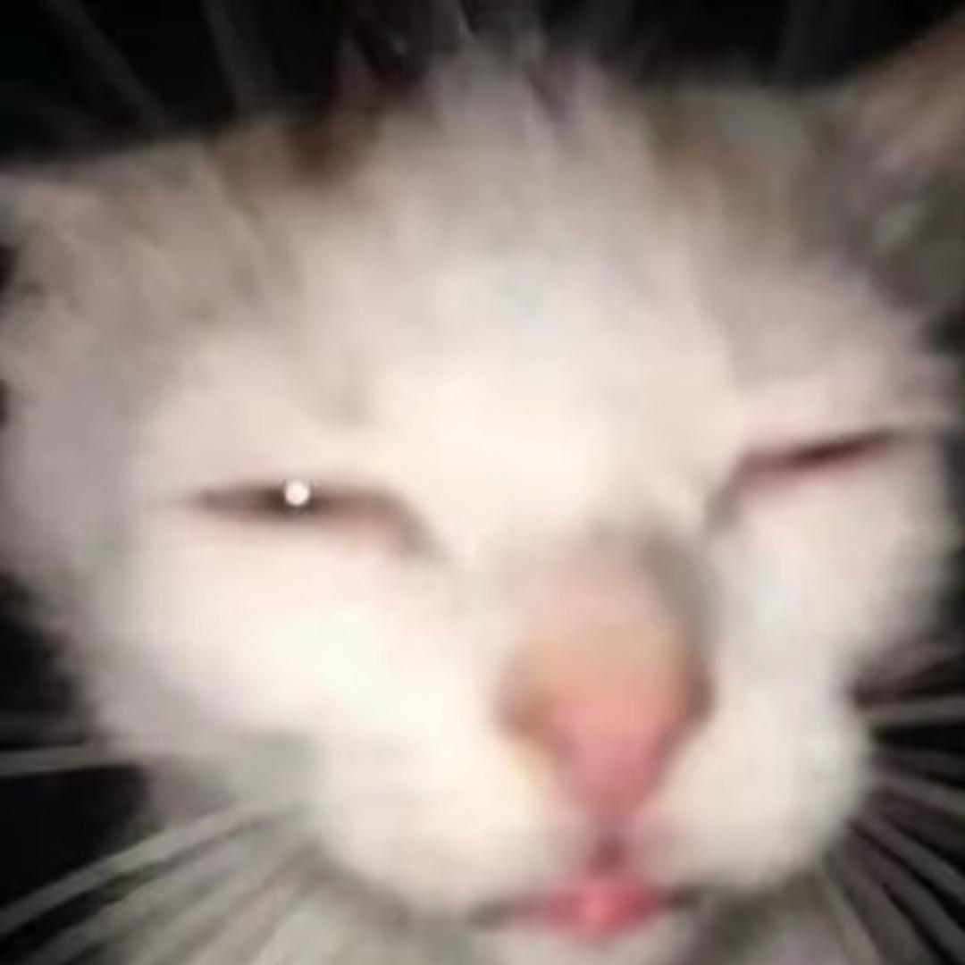 有腿毛的性感母蟑螂