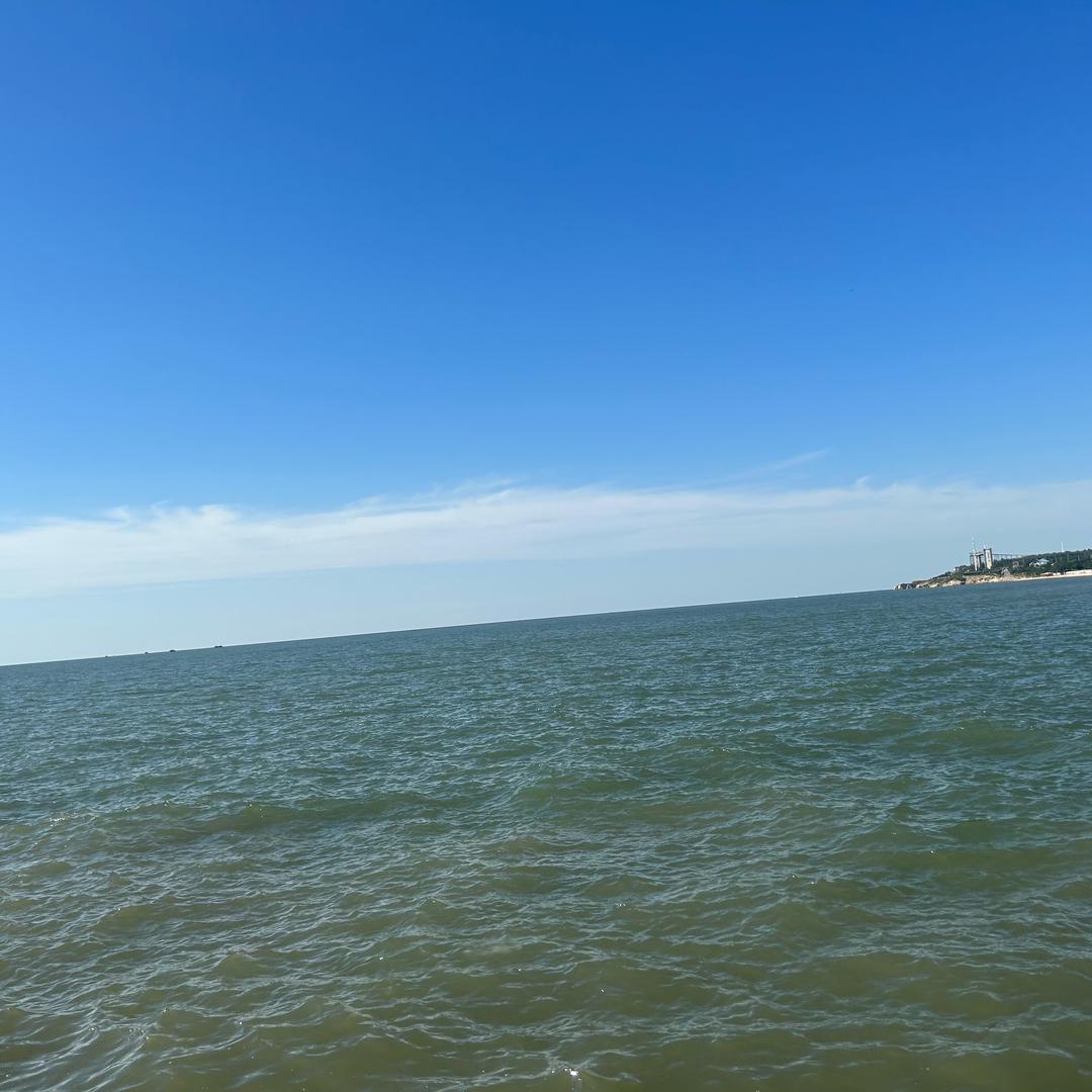 东风商用车（海城艺驰）