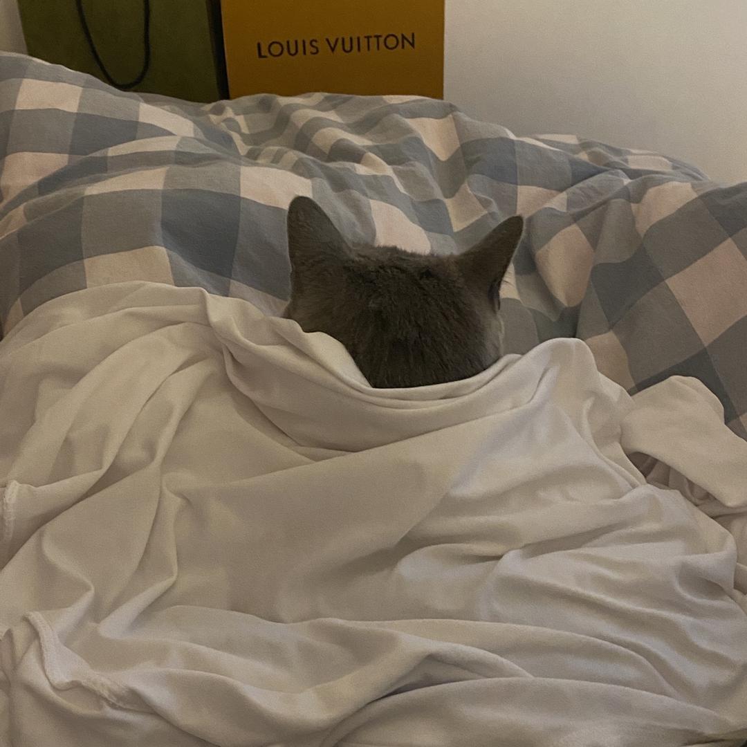 zz