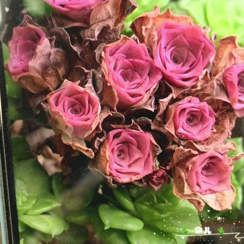 你的我的小时光