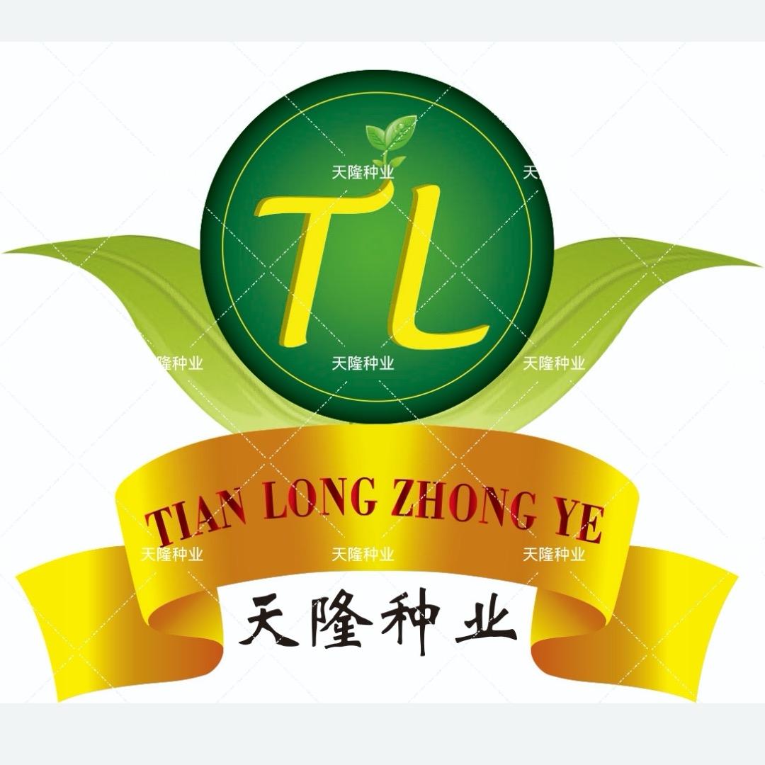 天隆种业厂长