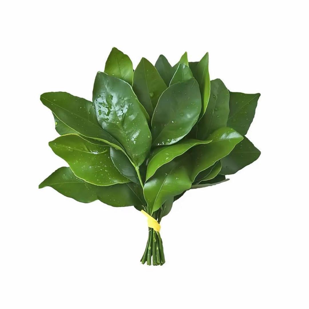 依依