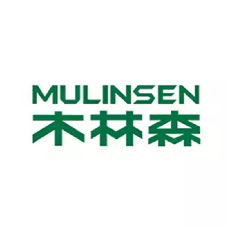木林森凡铸男鞋专卖店