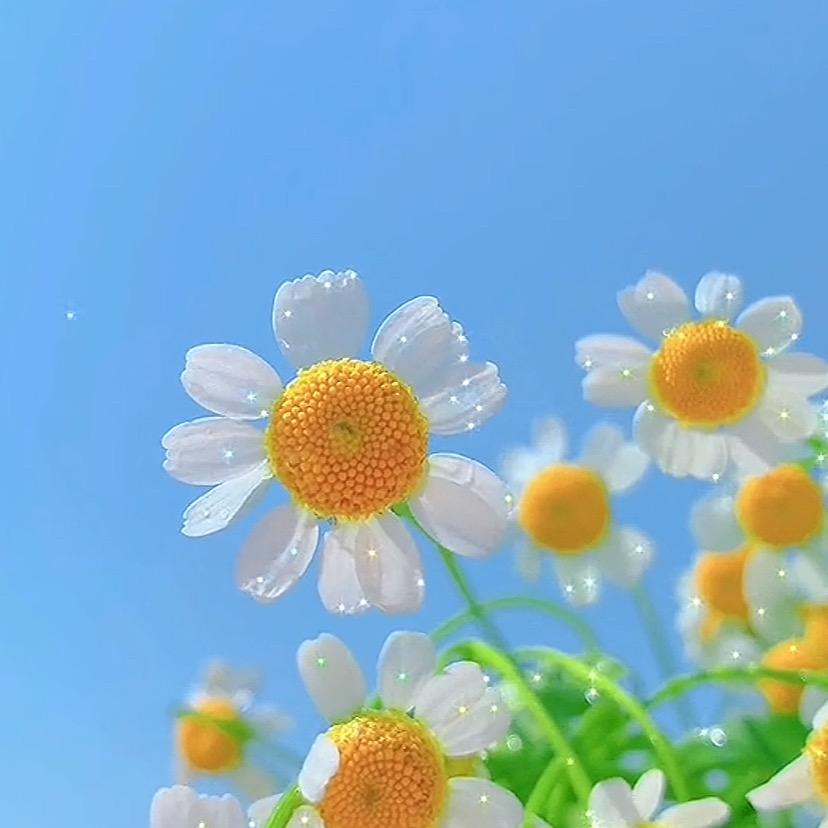 鑫