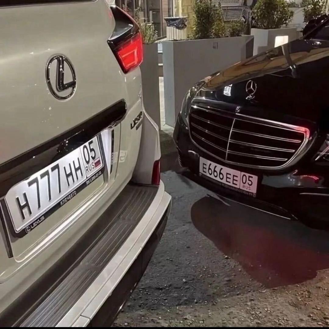               🪳