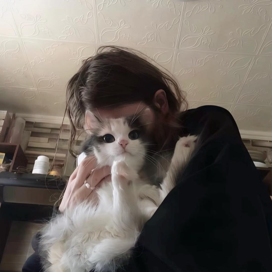 我说没你很糟糕