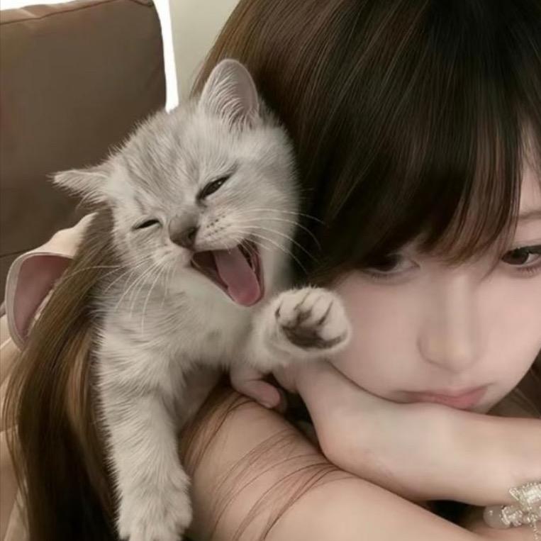 青柑普洱