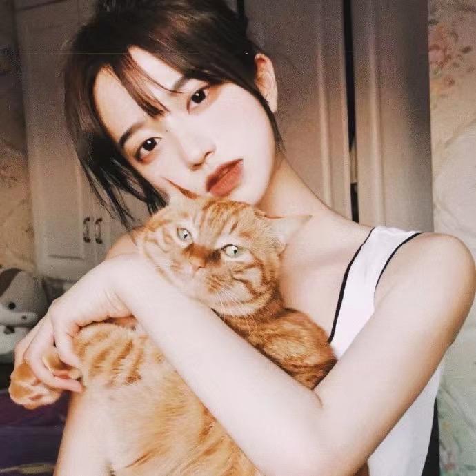 巷子里的猫🐱