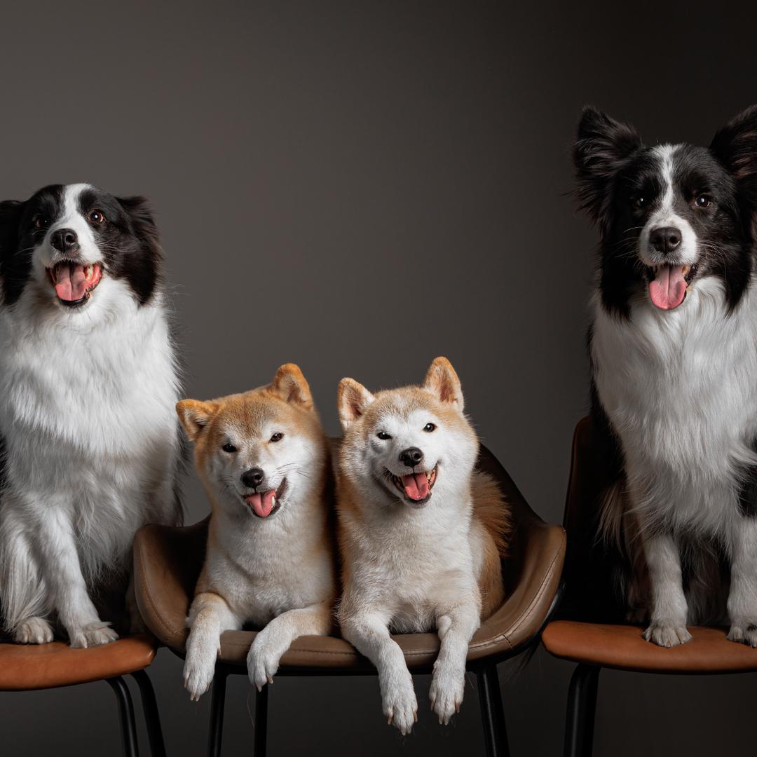 🌞太阳姐姐🌞