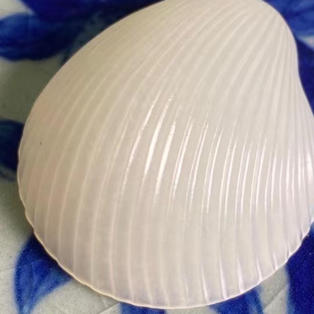 💕💖小芝麻💖💕