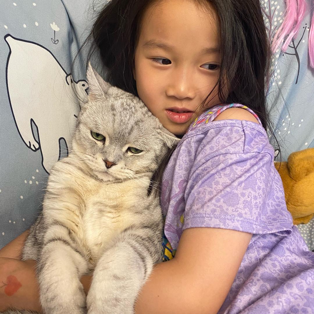 猫主子安安