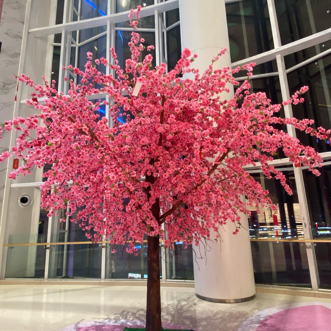 “好运满满”.🌈