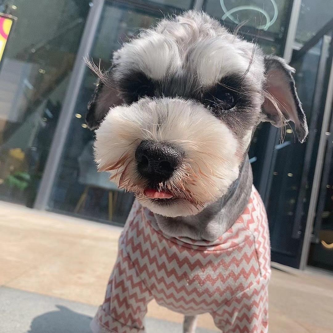 M.J   🐾