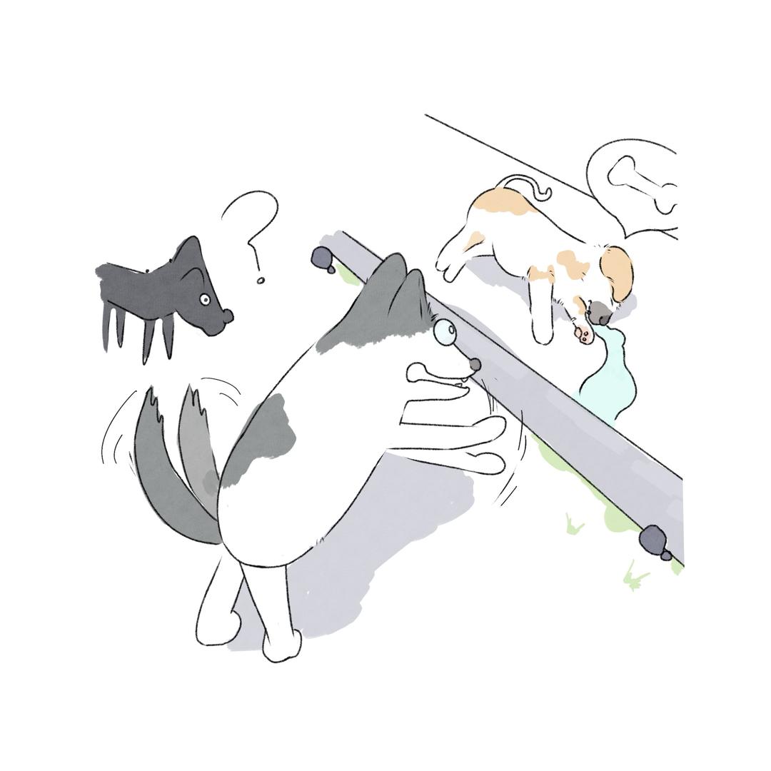 少年画世界