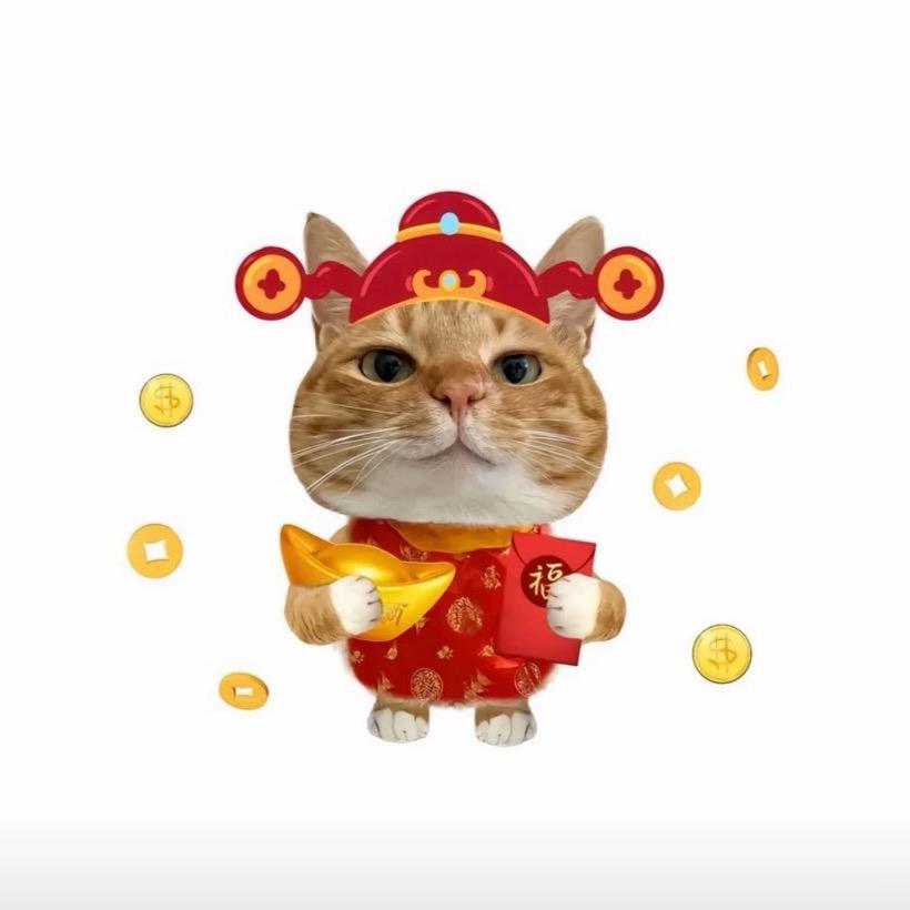 淘淘
