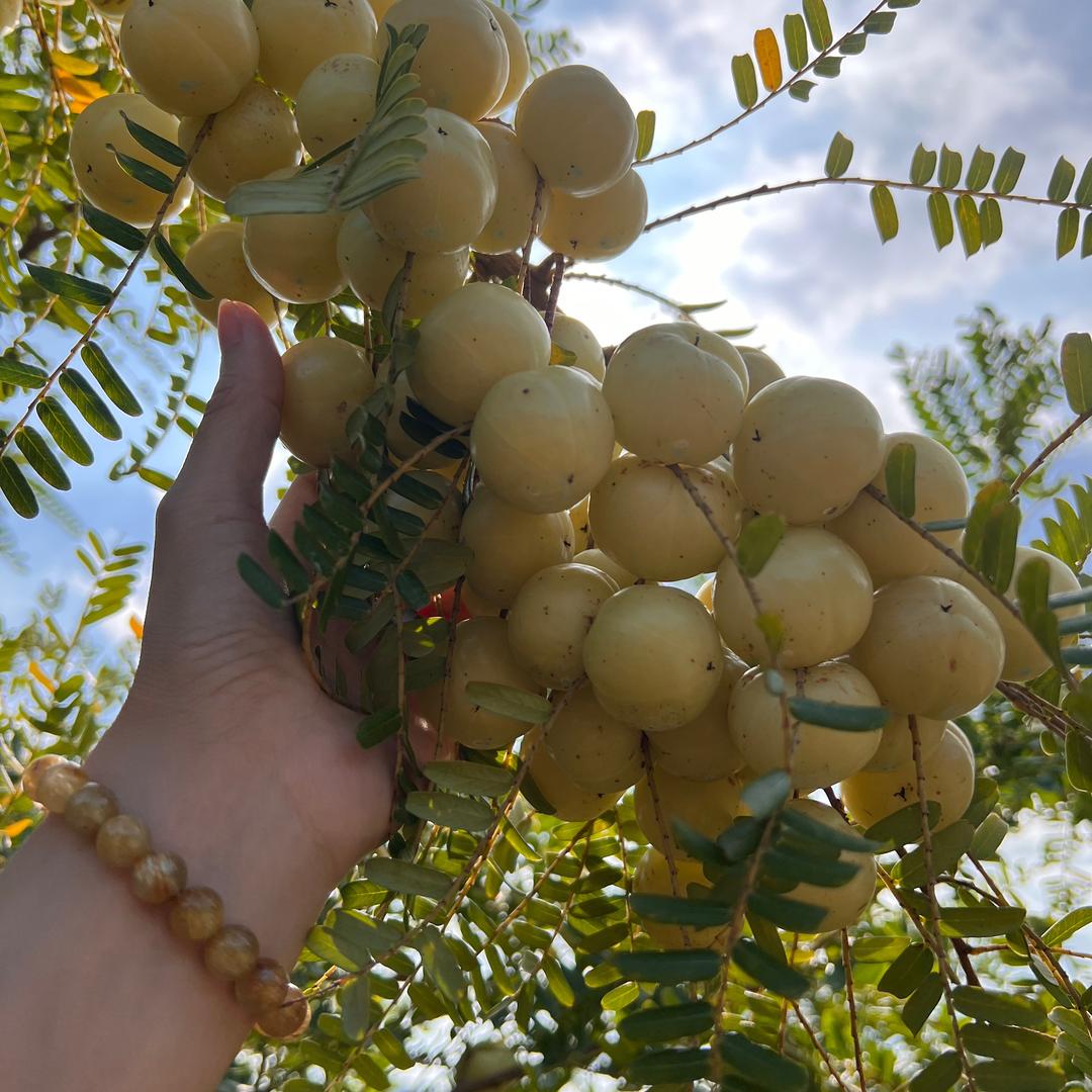 可以叫我湘湘