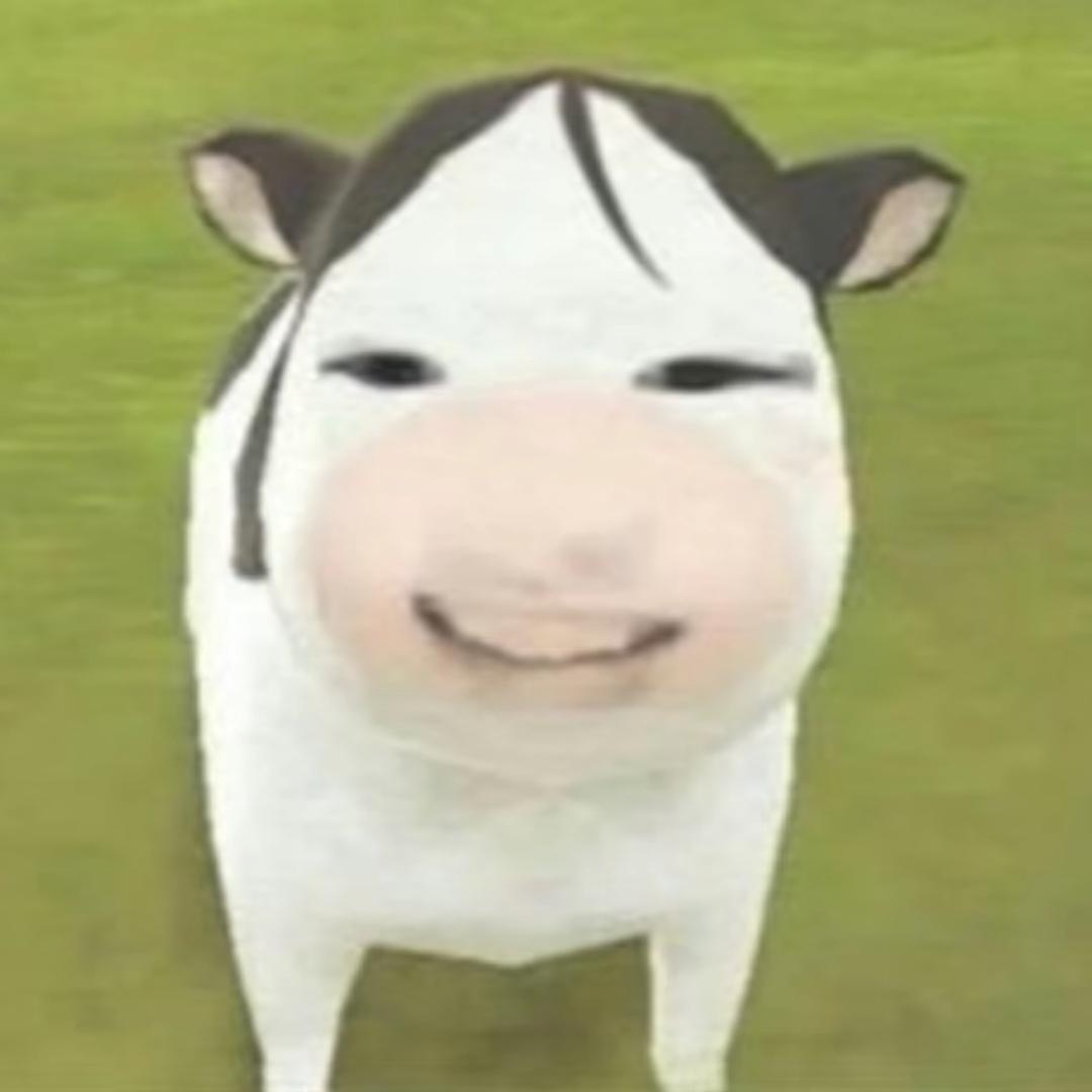 命苦的小牛牛