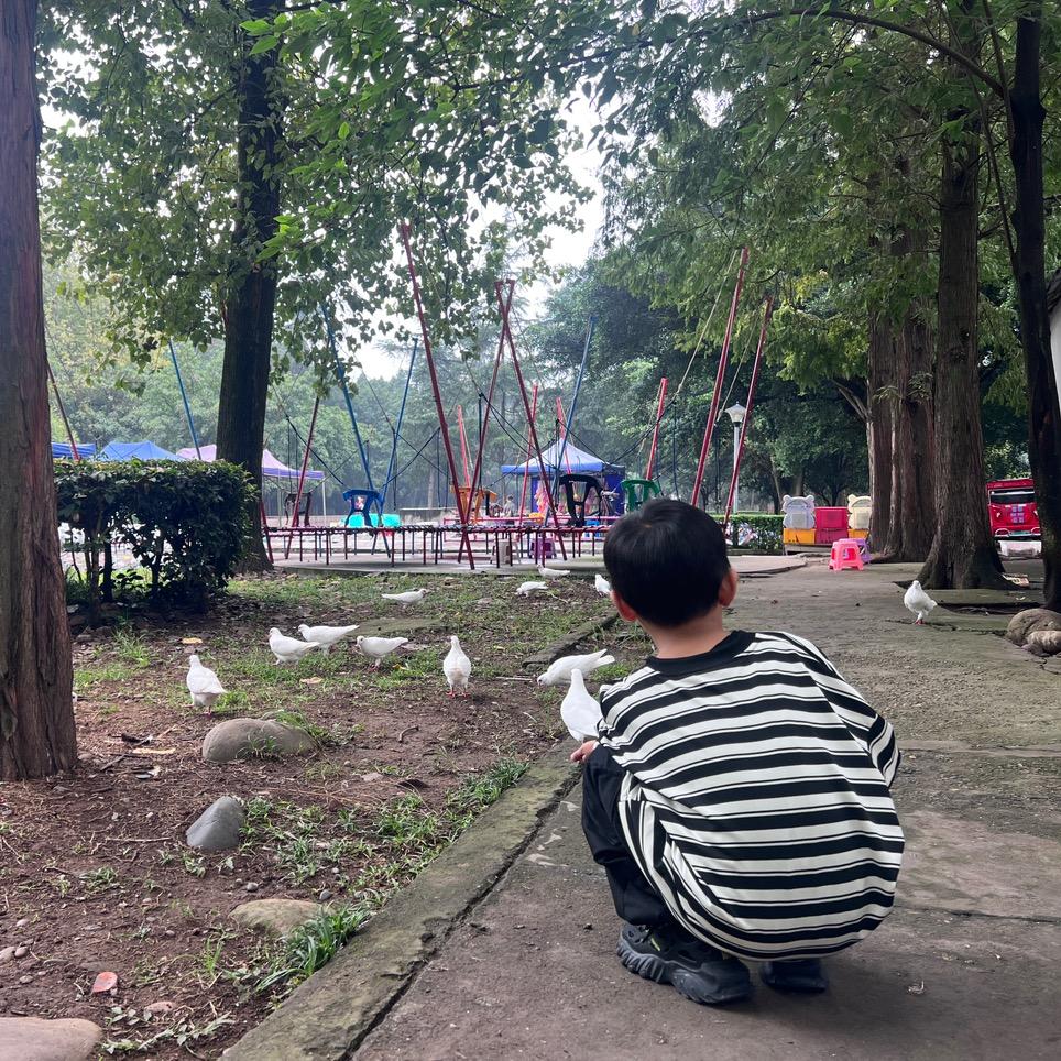 今天你吃了吗🍽️