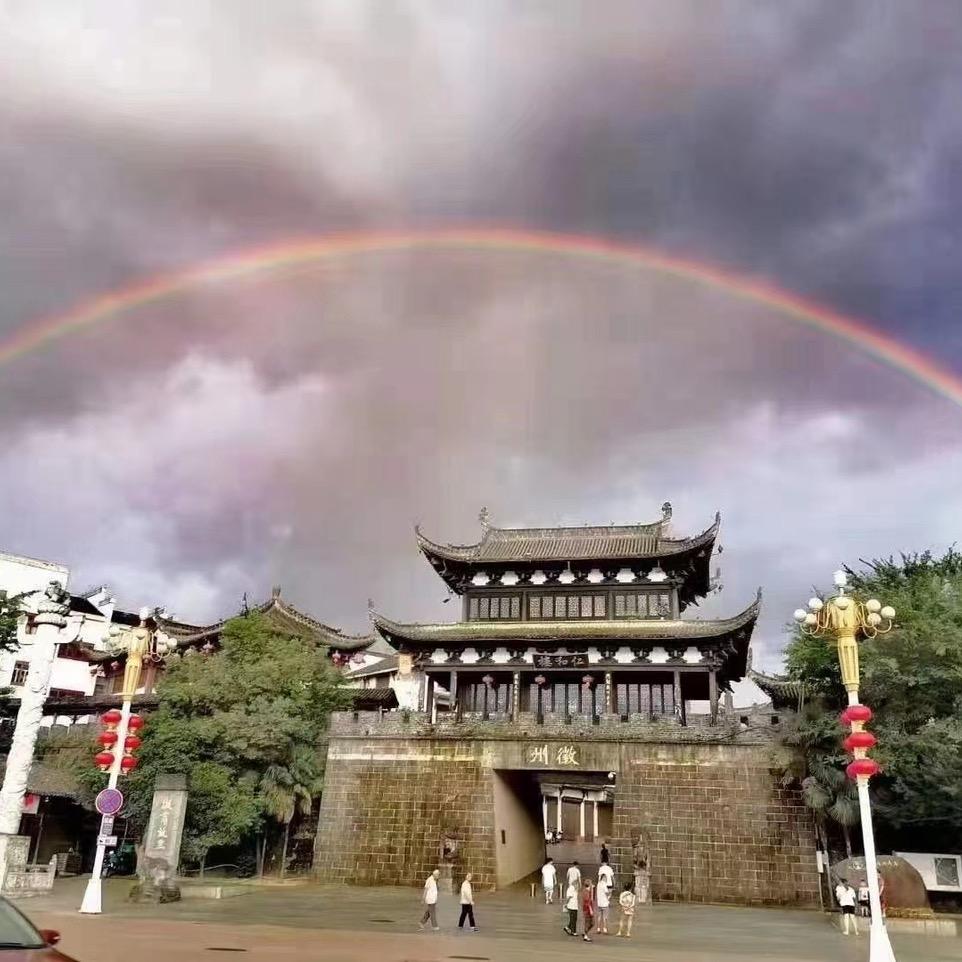 ⚡️徽胡