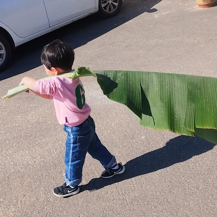 小甄