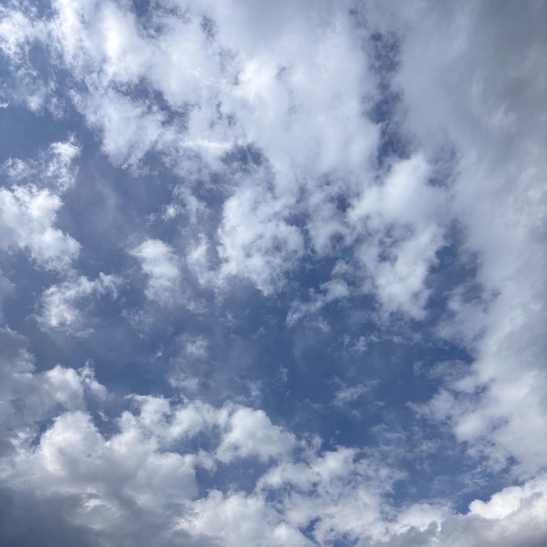 一片冰心在玉壶