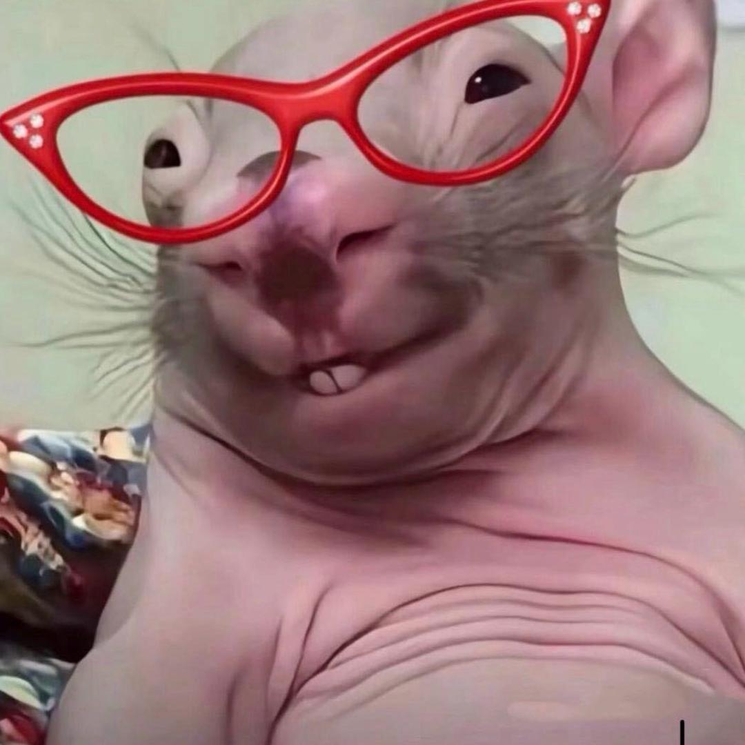 体脂不到14不改名