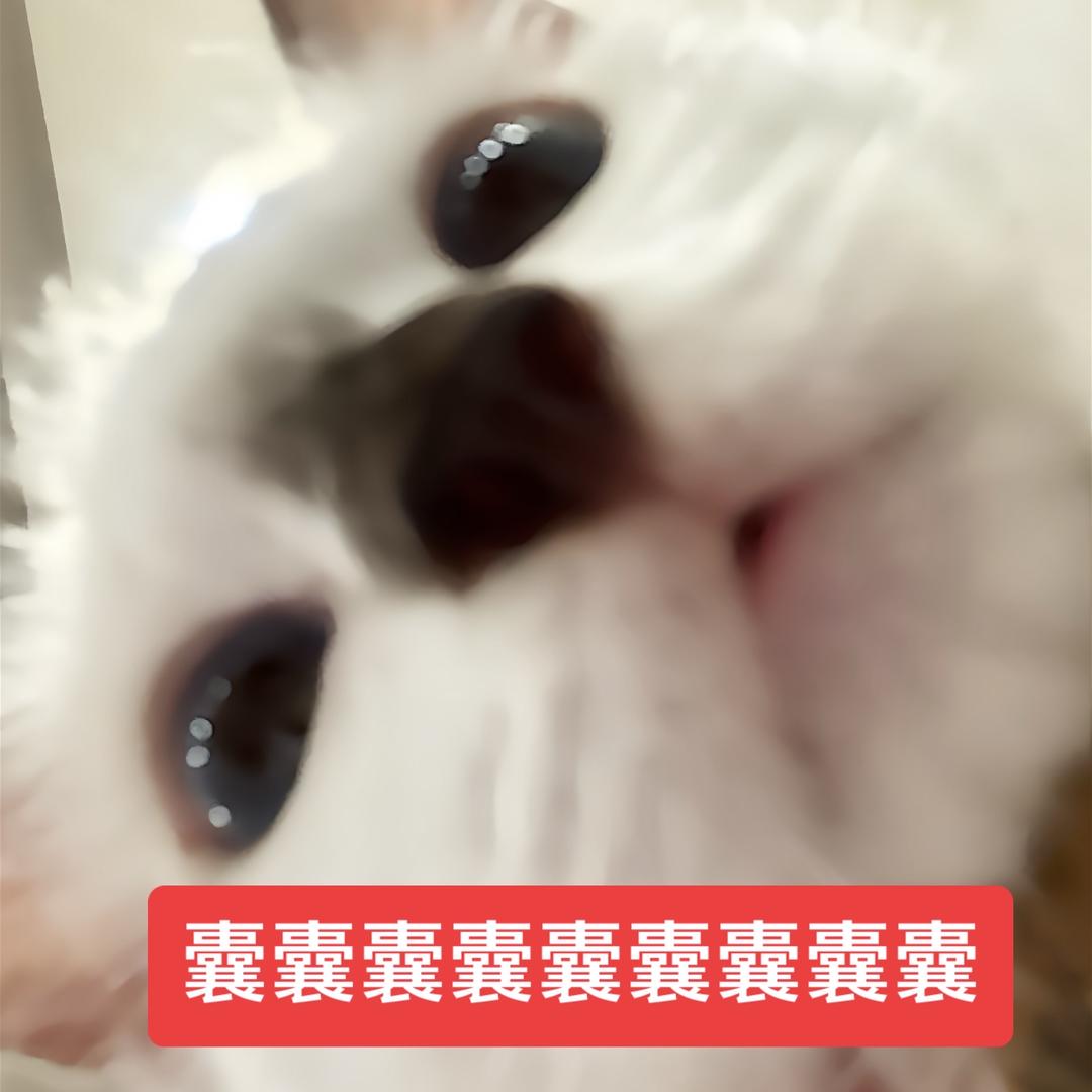 信心花舍