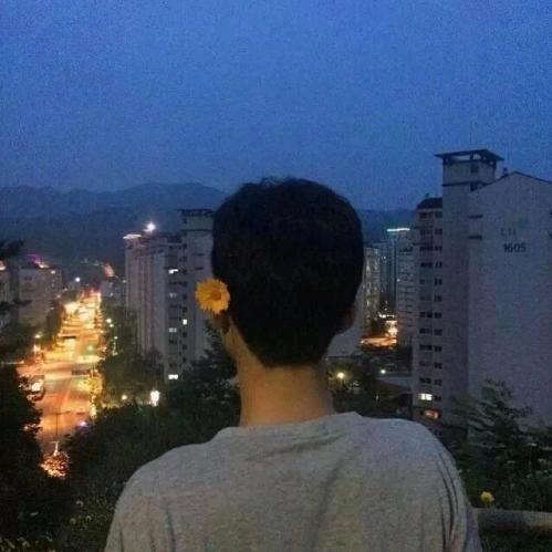 豹豹  套路揭秘